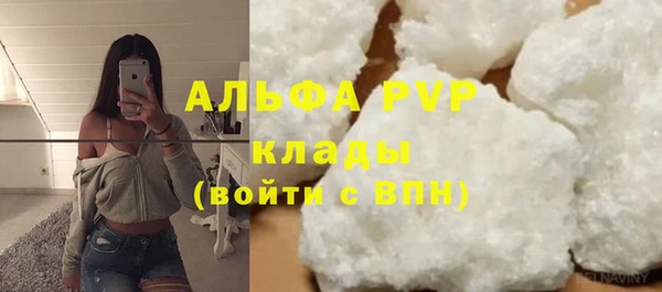 СК Богородск