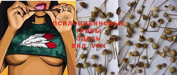 каннабис Богданович