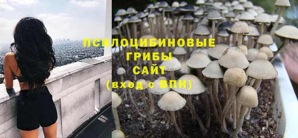 прущие крисы Богородицк