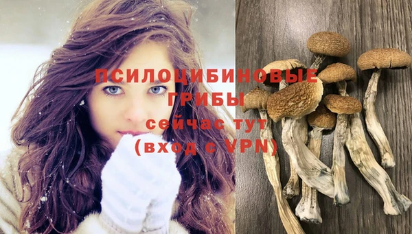 СК Богородск